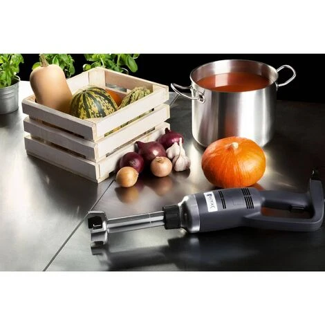 Mixeur Plongeant Professionnel Broyage Mixage 350 W 16 000 T/Min Pied 250Mm Inox 4 Mixeur Plongeant Professionnel Broyage Mixage 350 W 16 000 T/Min Pied 250Mm Inox – Image 2