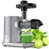 GOPLUS Extracteur De Jus 150W, Slow Juicer Presse Machine Avec Moteur Silencieux, Inclus 1 Tasse A Jus De 500ML/Brosse De Nettoyage, Adapte A Tous Les Fruits & Legumes, Argent