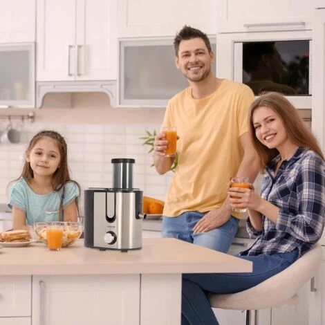 AREBOS Centrifugeuse Fruits Et Légumes En Acier Inoxydable Grande Ouverture De Remplissage De 85 Mm 800 W Sans BPA 4 AREBOS Centrifugeuse Fruits Et Légumes En Acier Inoxydable Grande Ouverture De Remplissage De 85 Mm 800 W Sans BPA – Image 2