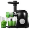 Entsafter Slow Juicer Leistungsstarker Entsafter Für Obst Und Gemüse Mit Ruhiger Motor & Umkehrfunktion & Saftkanne & Reinigungsbürste
