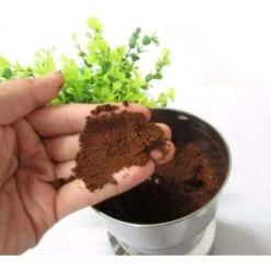 Moulin à Café Multifonctionnel -Petit Électroménager 81186196 4